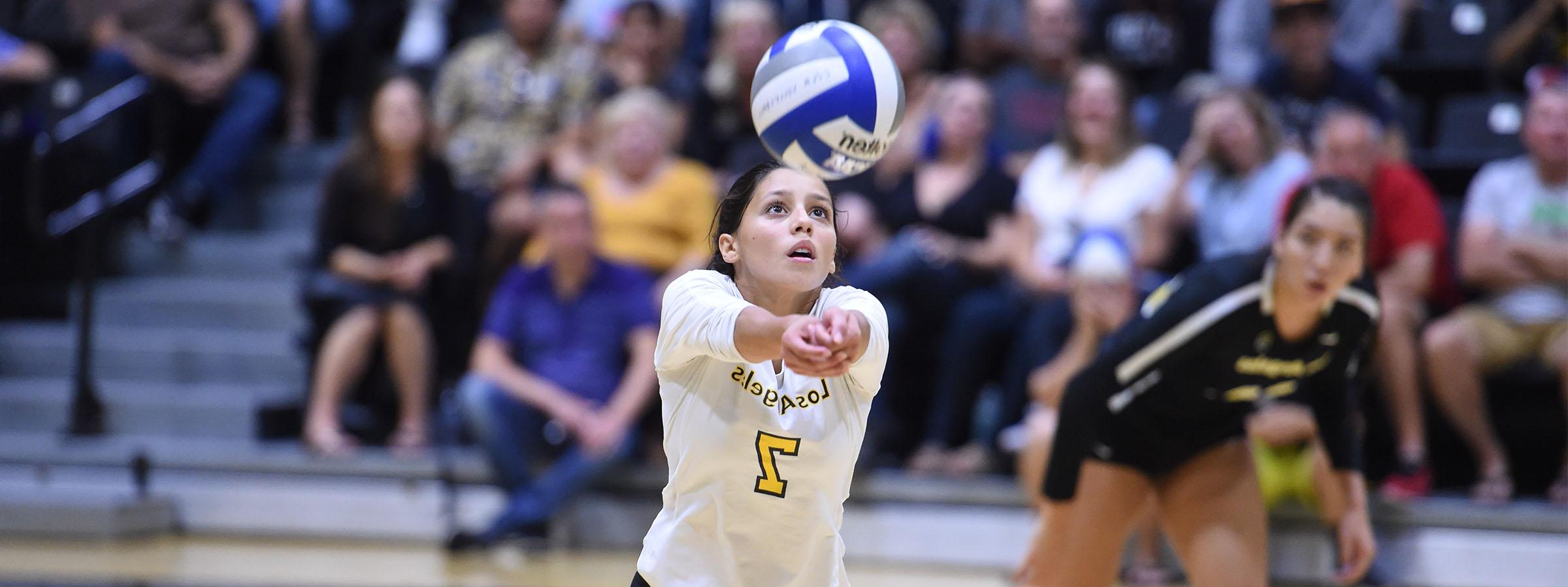 Volleyball player digging ball